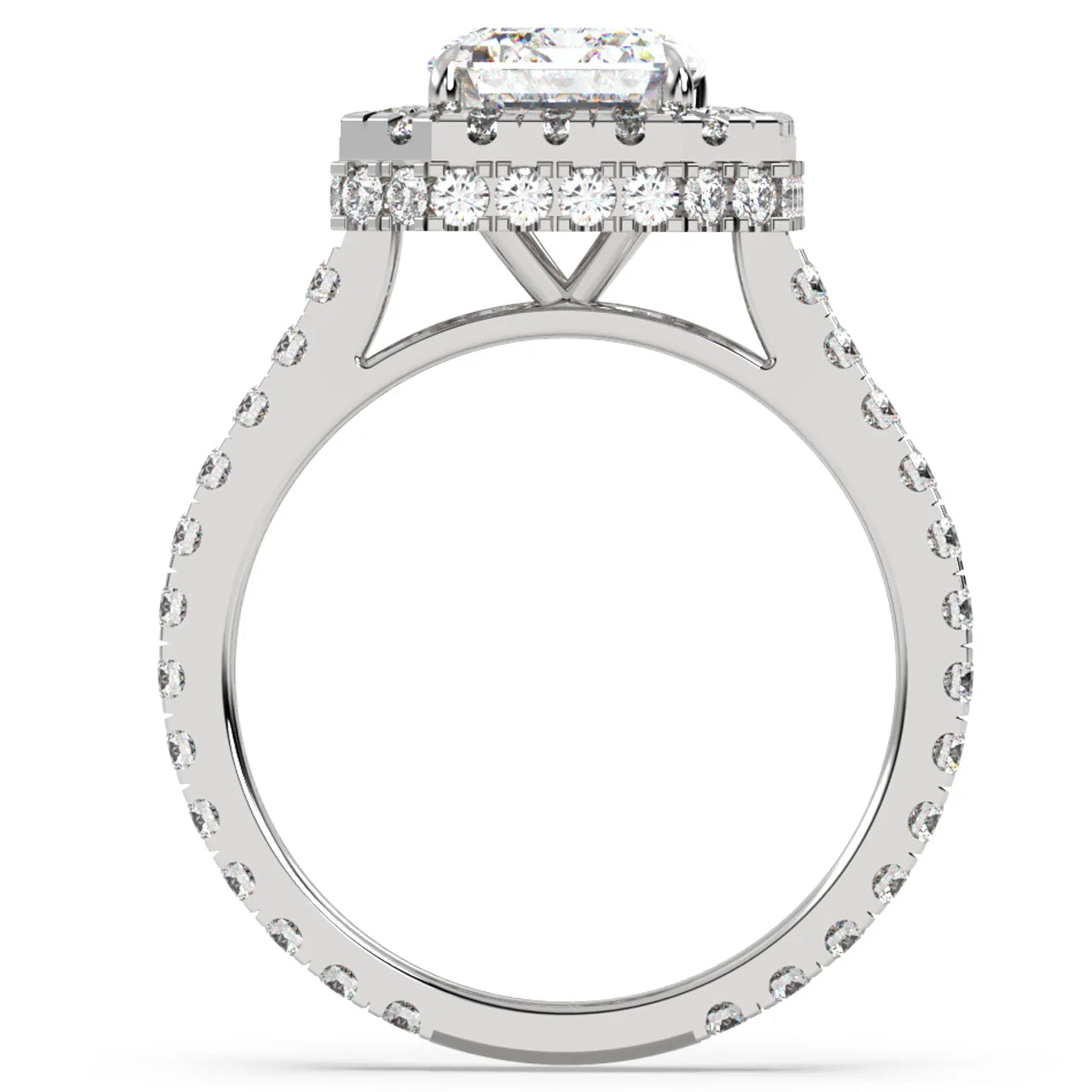 Cathedral Engagement Ring